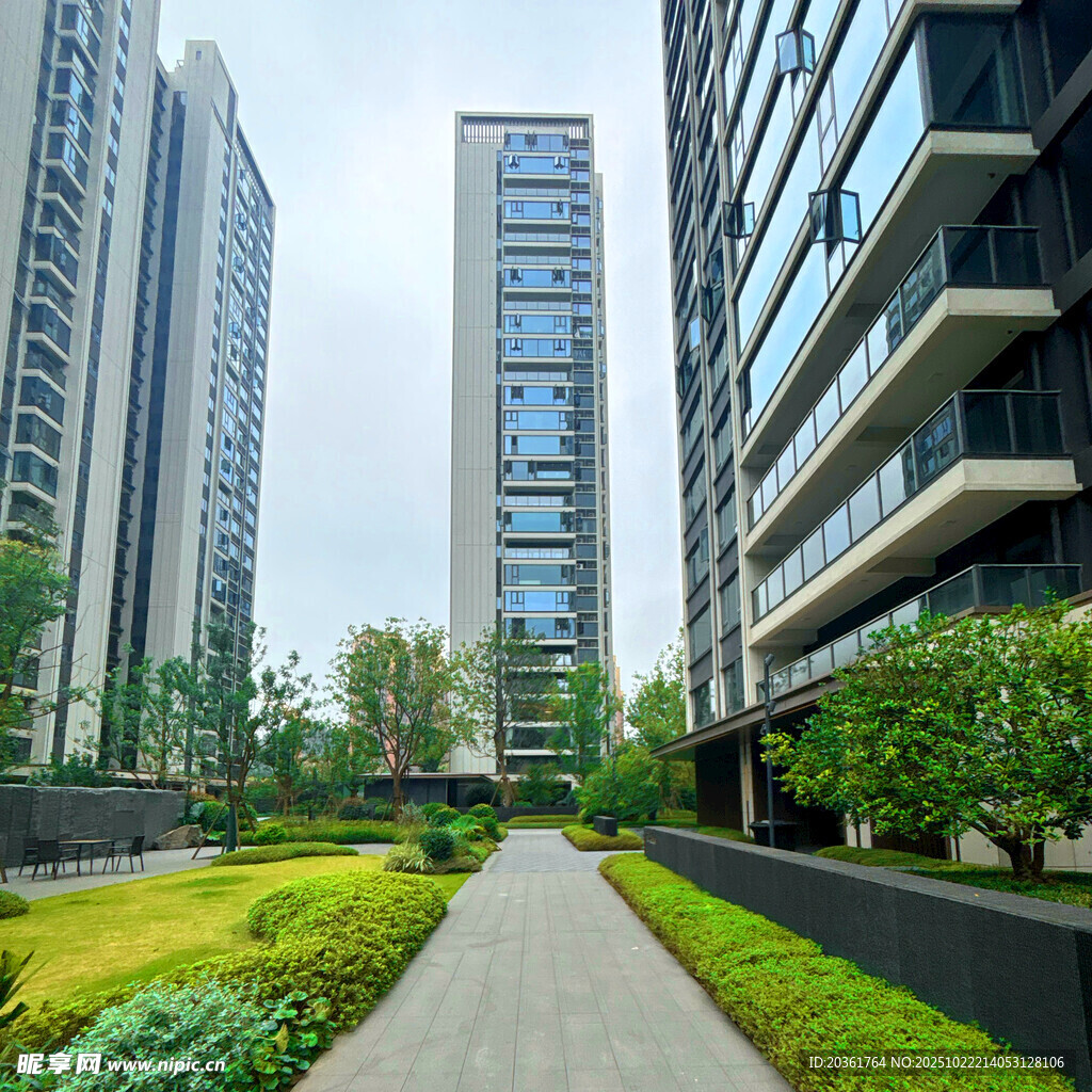 都市住宅区的静谧景观