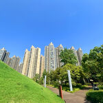 城市中绿意盎然的高楼景观