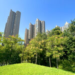 城市绿地旁的高楼景观