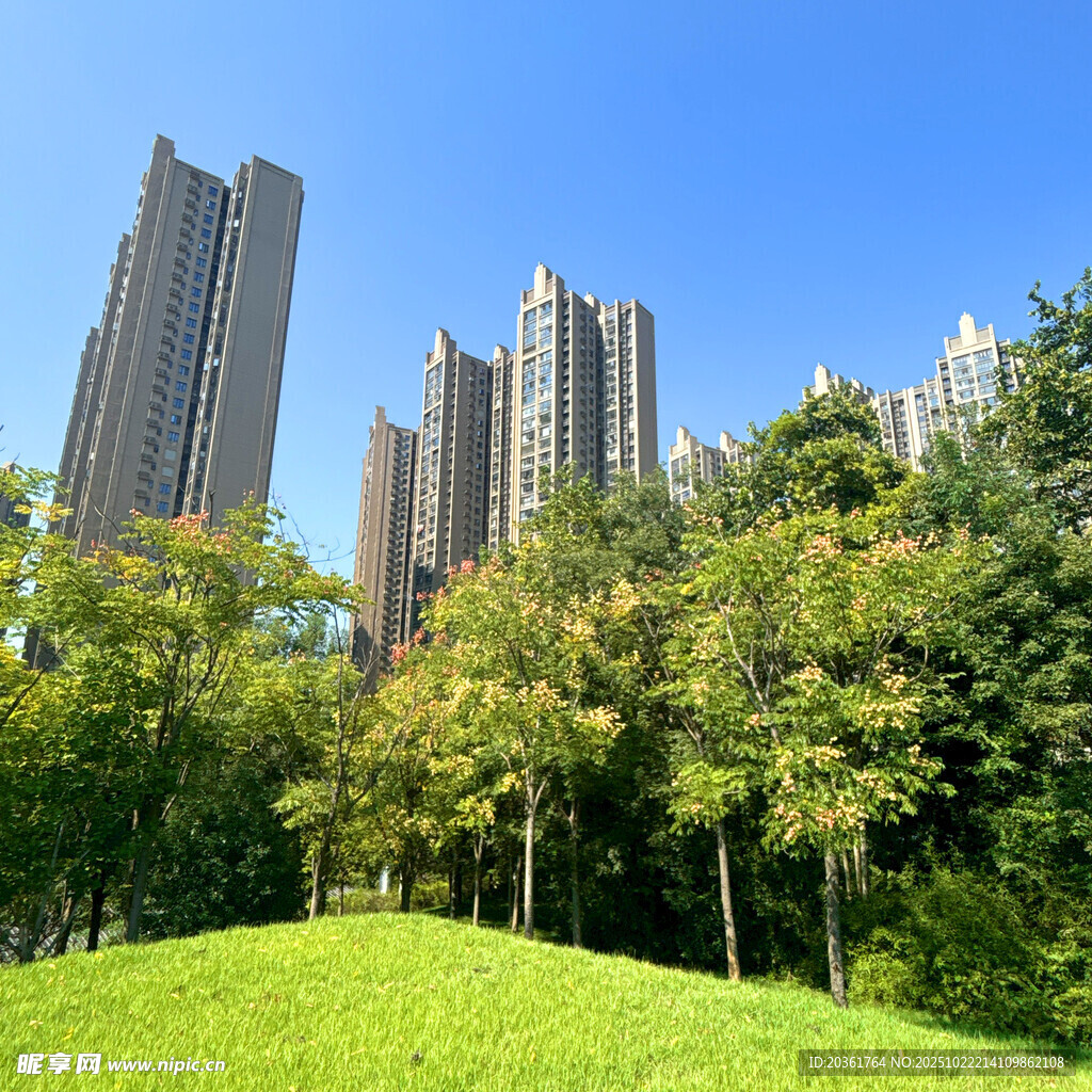 城市绿地旁的高楼景观