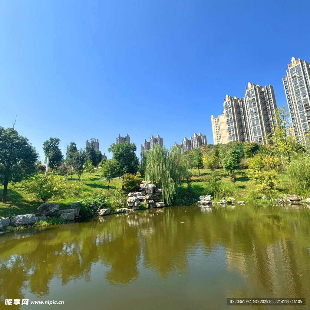 湖畔高楼与绿意景观
