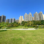 城市绿地旁的高楼景观