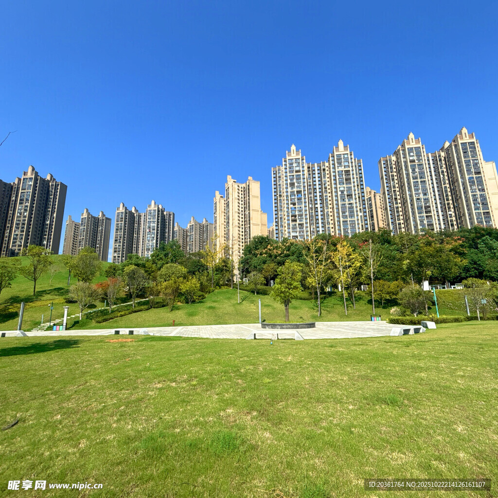 城市绿地旁的高楼景观