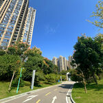 城市道路旁的高楼与绿植