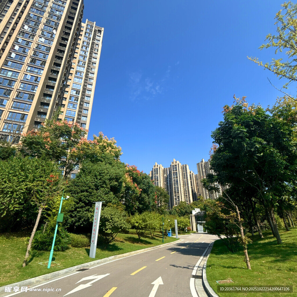 城市道路旁的高楼与绿植