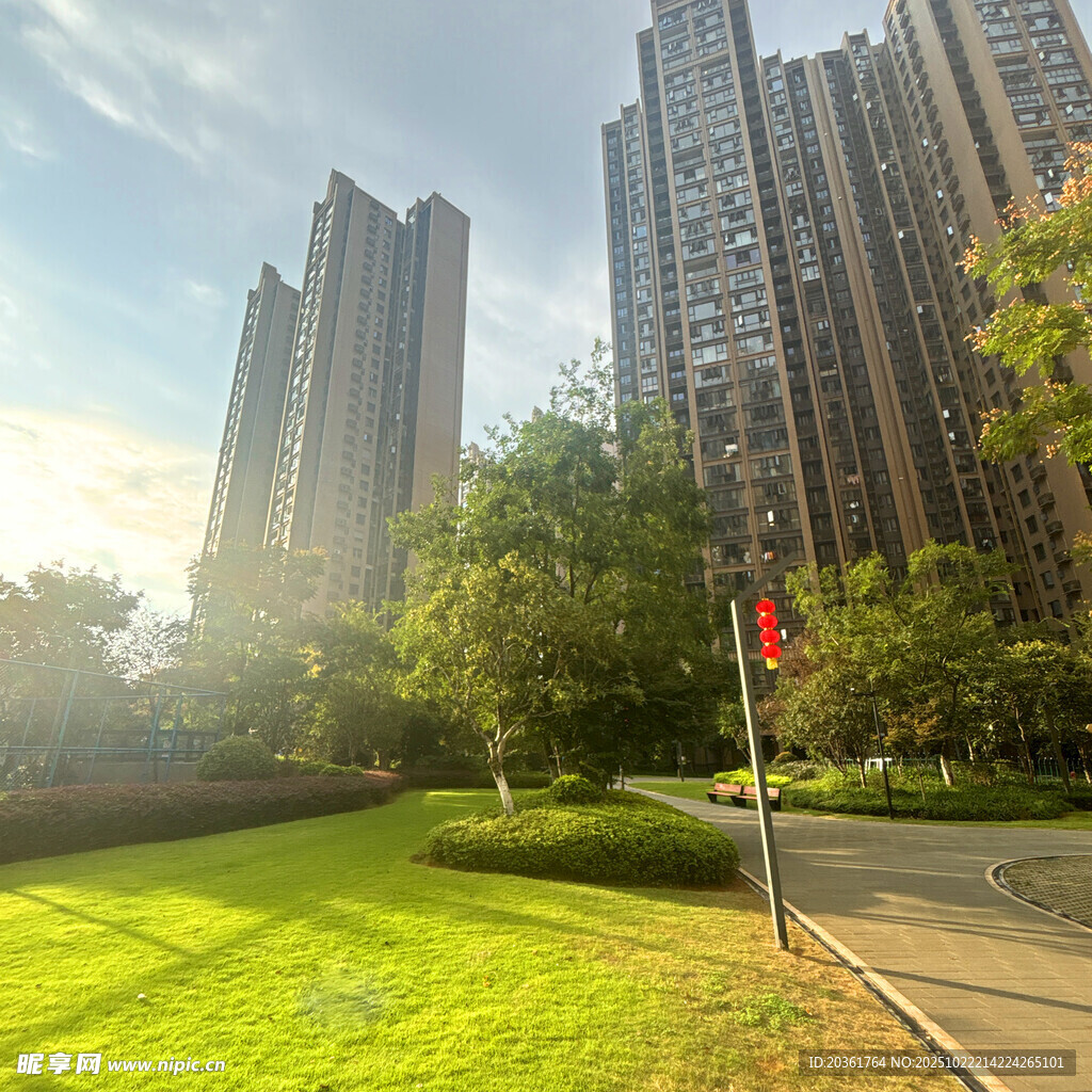 城市绿地旁的高楼景观