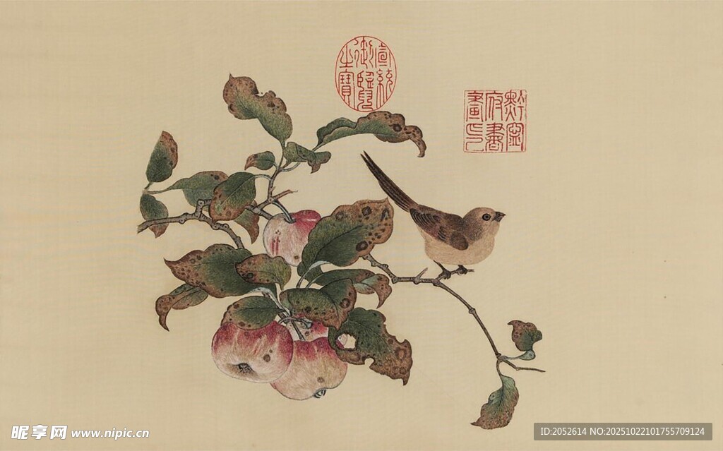 花鸟图绘