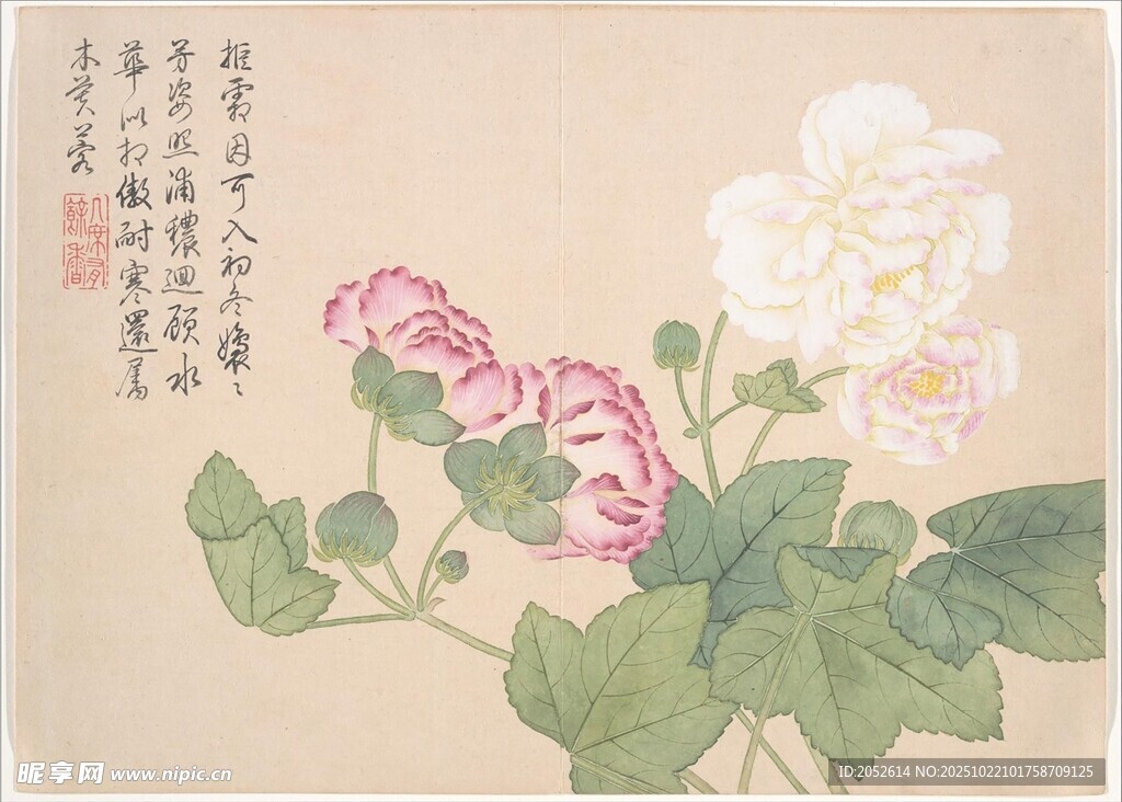 花卉国画雅致牡丹芍药图