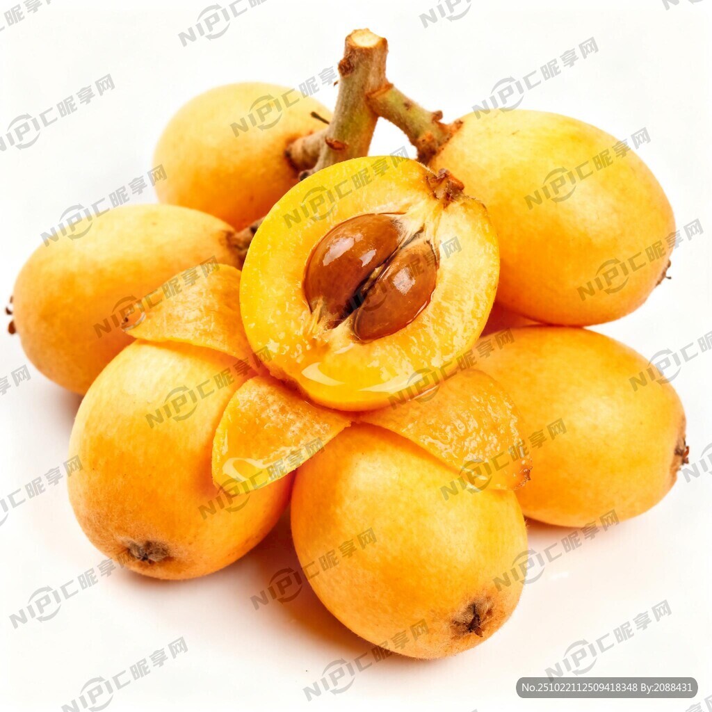 一串新鲜的枇杷 金黄色 白底图