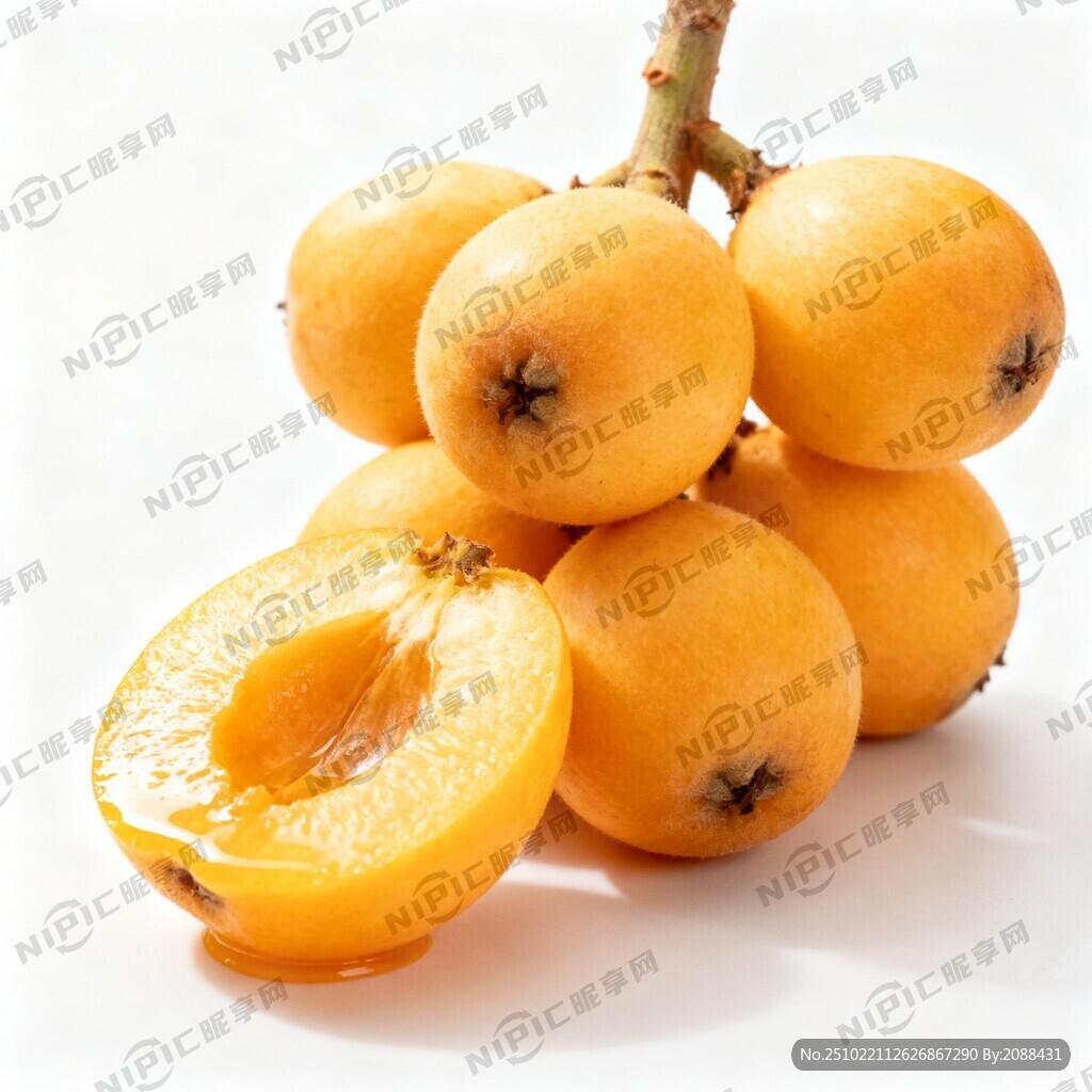 一串新鲜的枇杷 金黄色 白底图