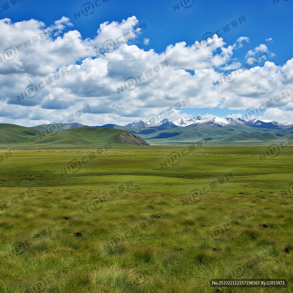 若尔盖 草原 雪山
