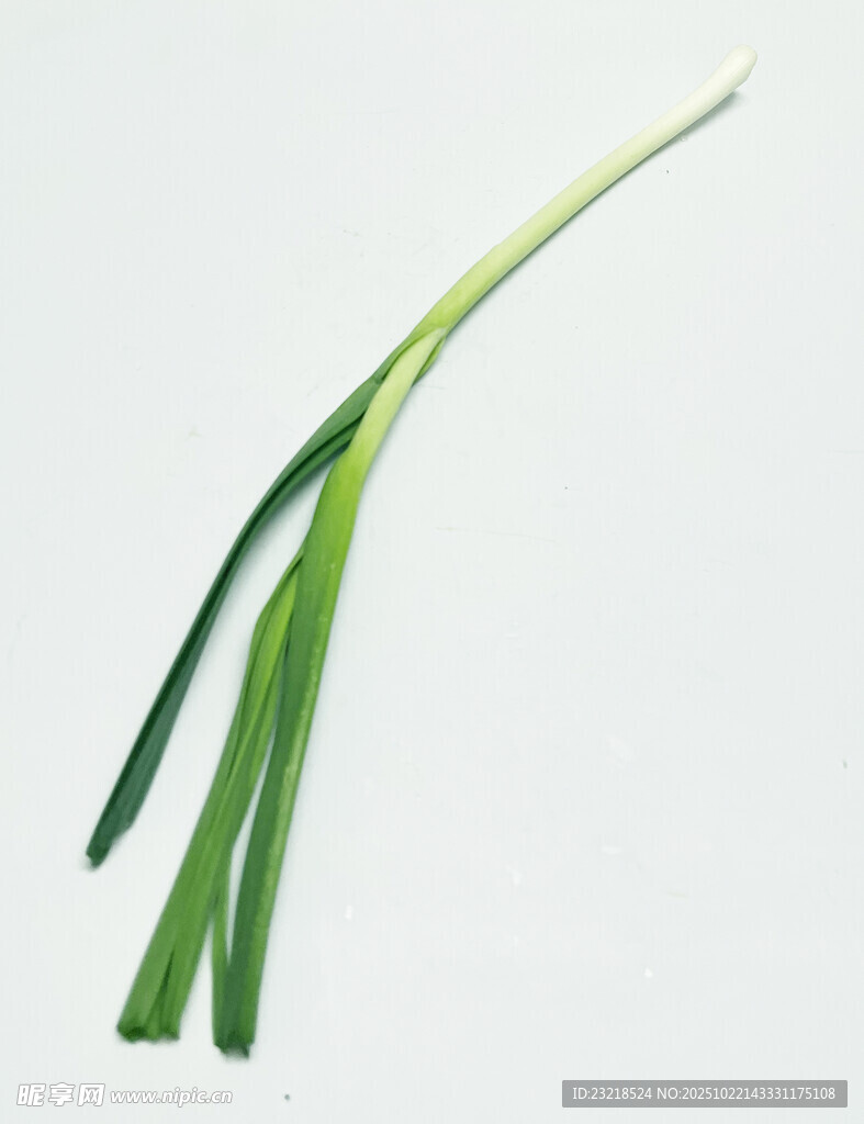 一根蒜苗