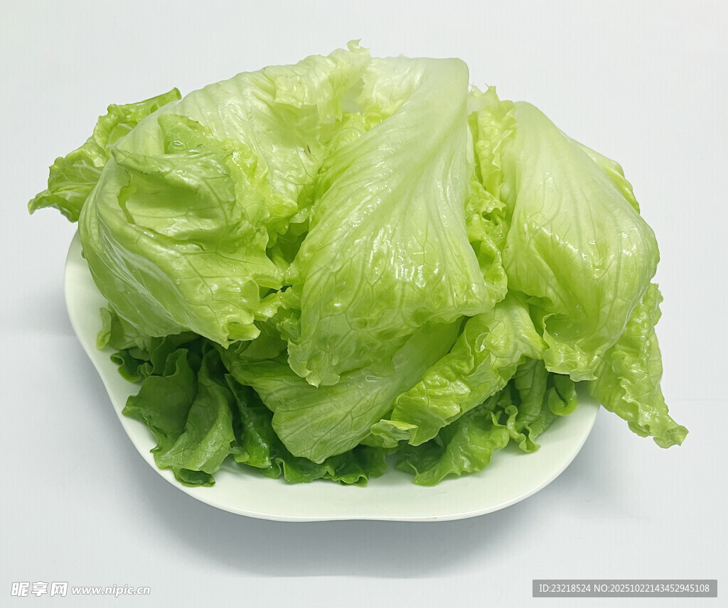 生菜