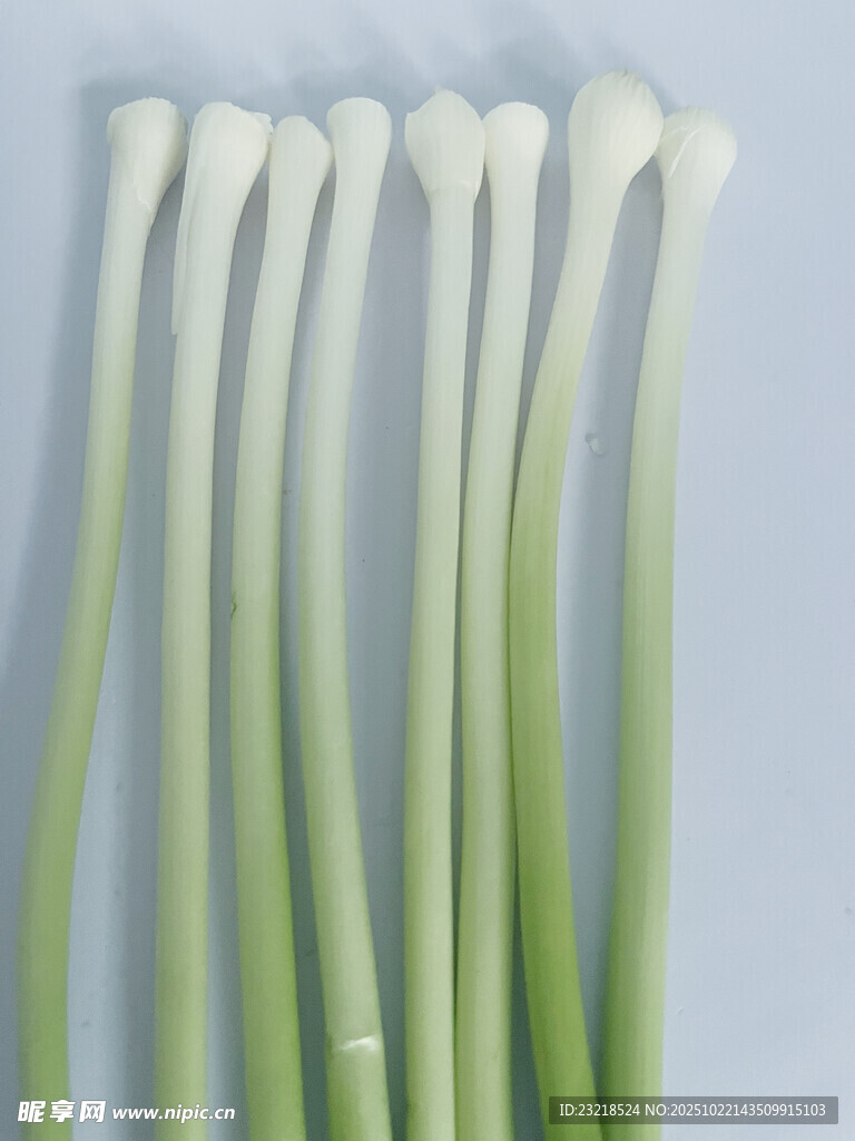 蒜苗