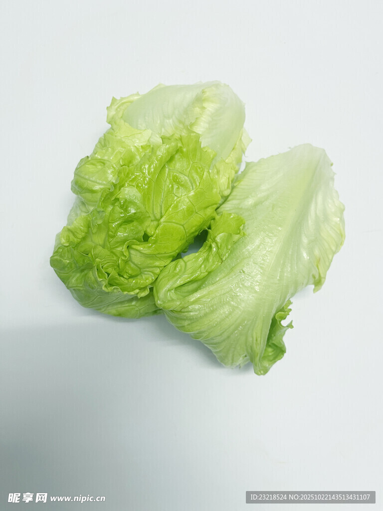 生菜