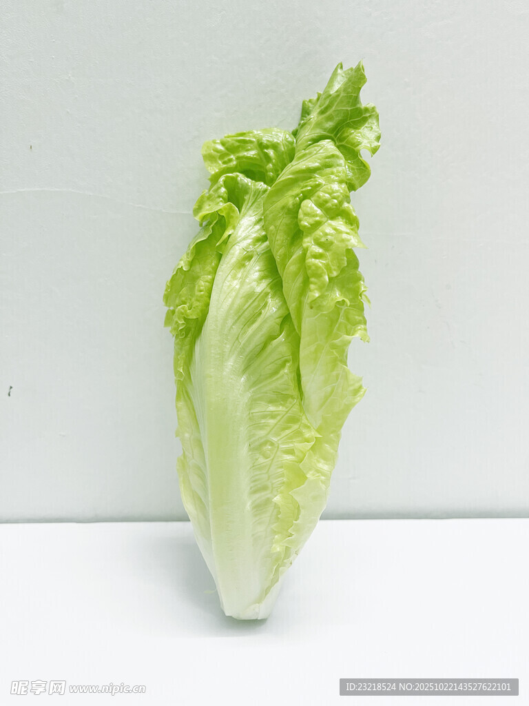 生菜