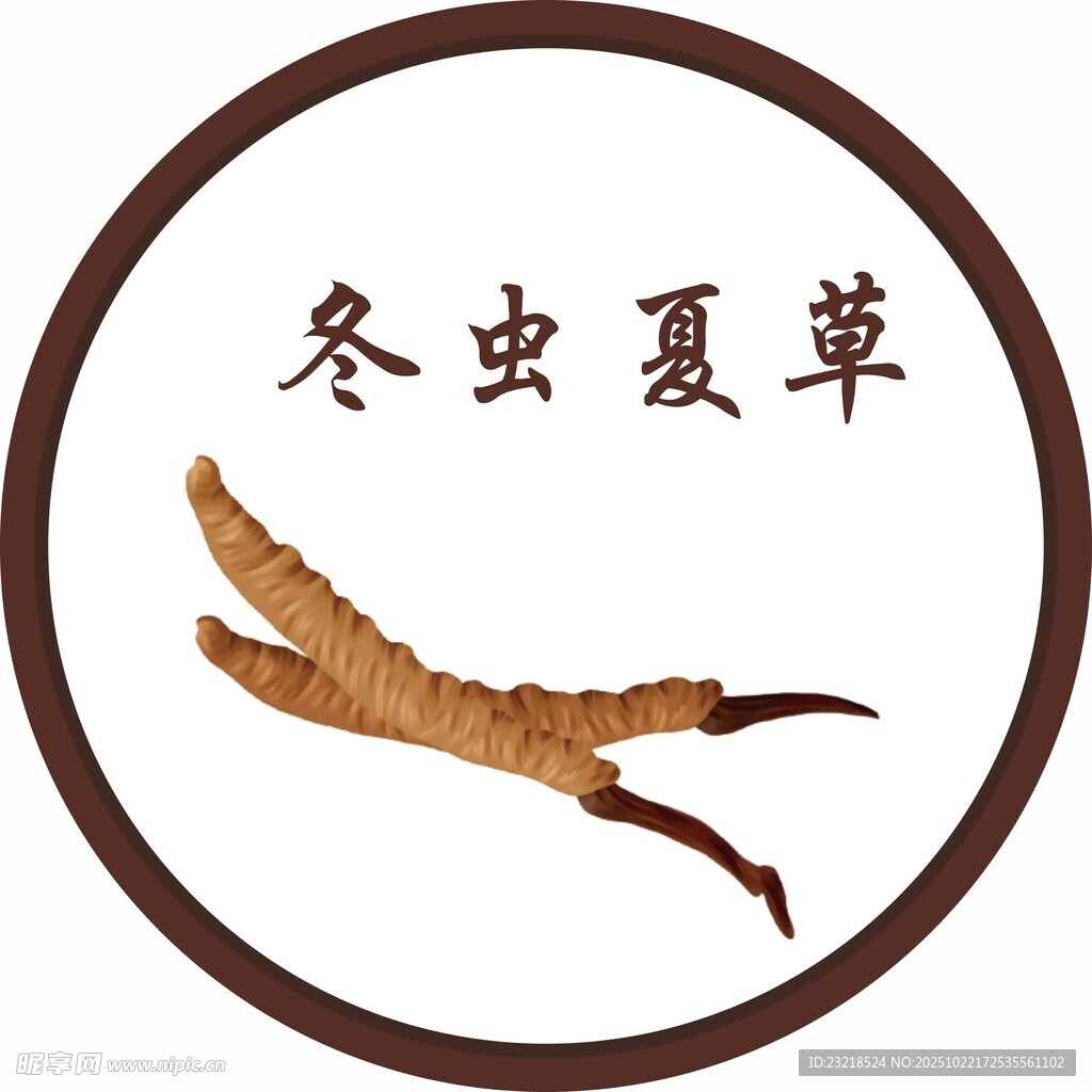 冬虫夏草