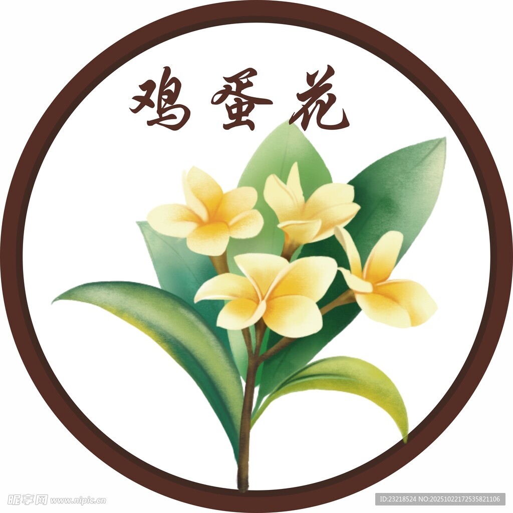 鸡蛋花