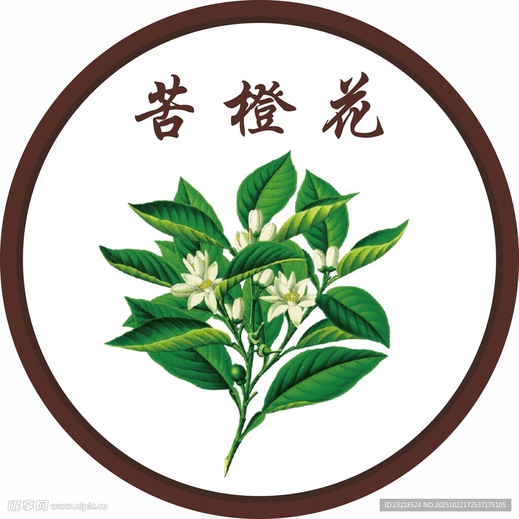 苦橙花