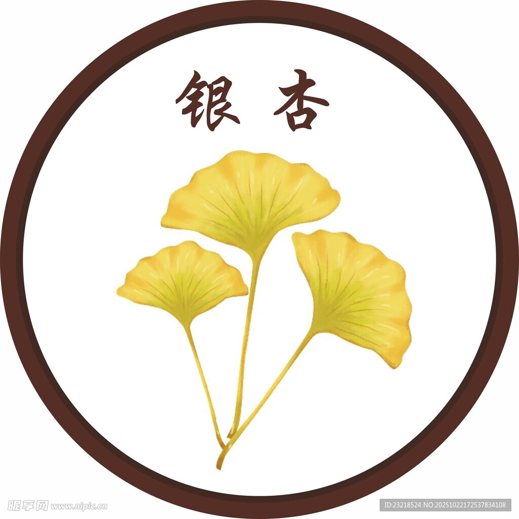 银杏