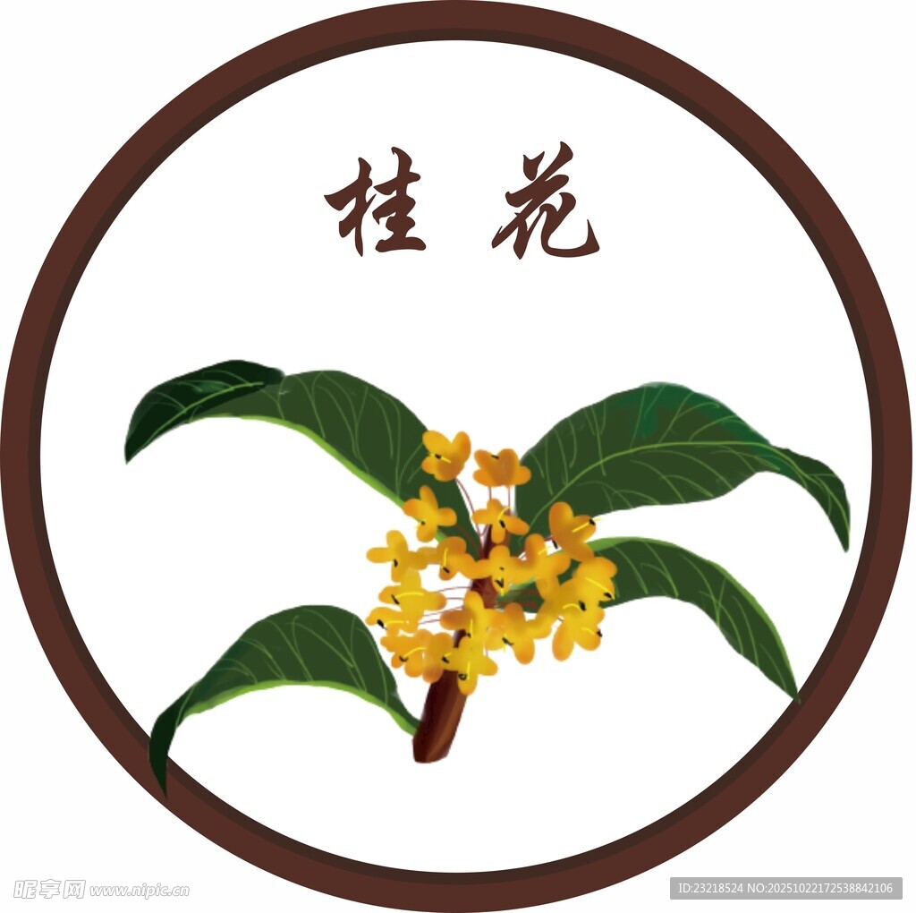 桂花