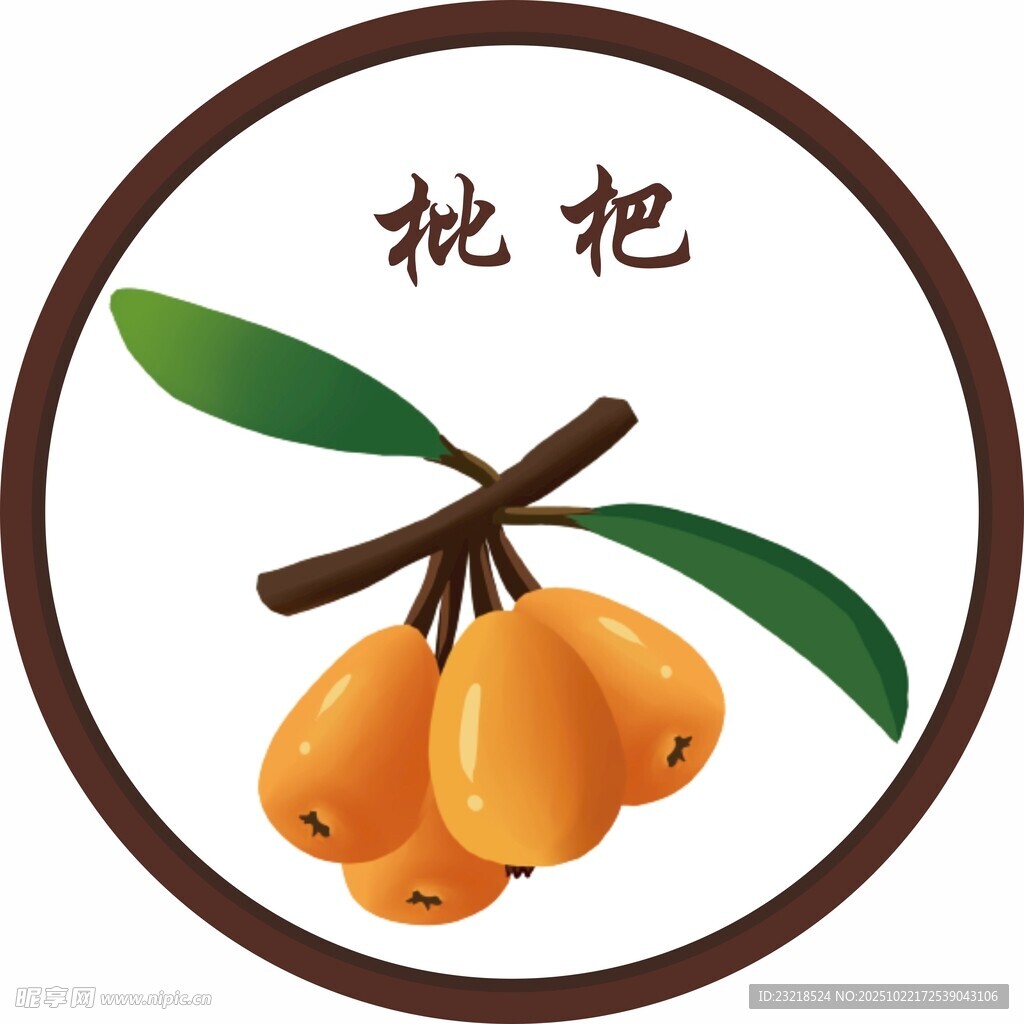 枇杷