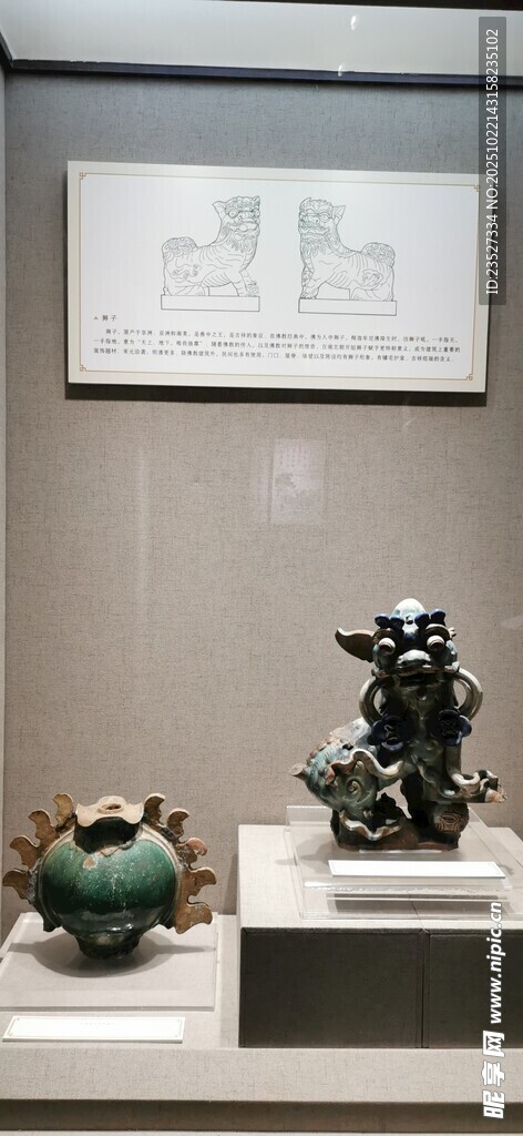 可园随拍