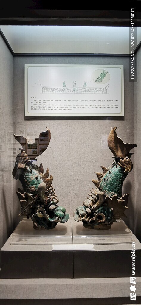 可园随拍