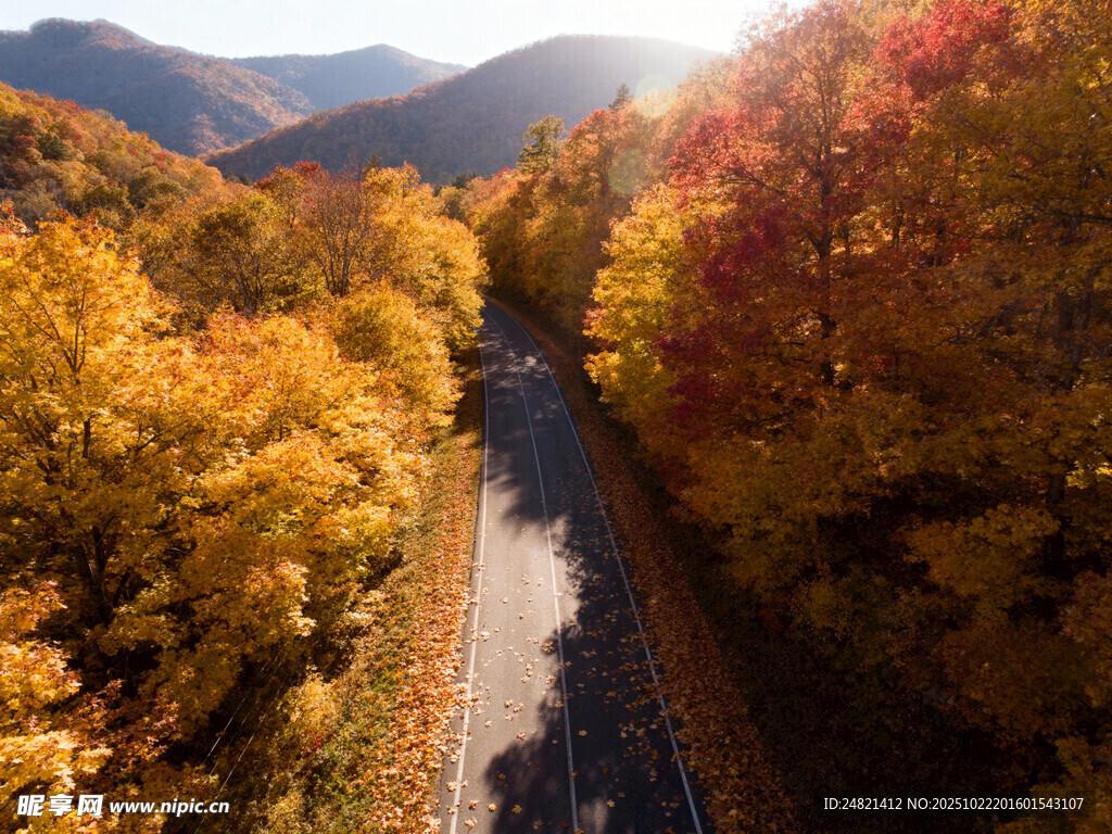 秋日山林间的蜿蜒公路