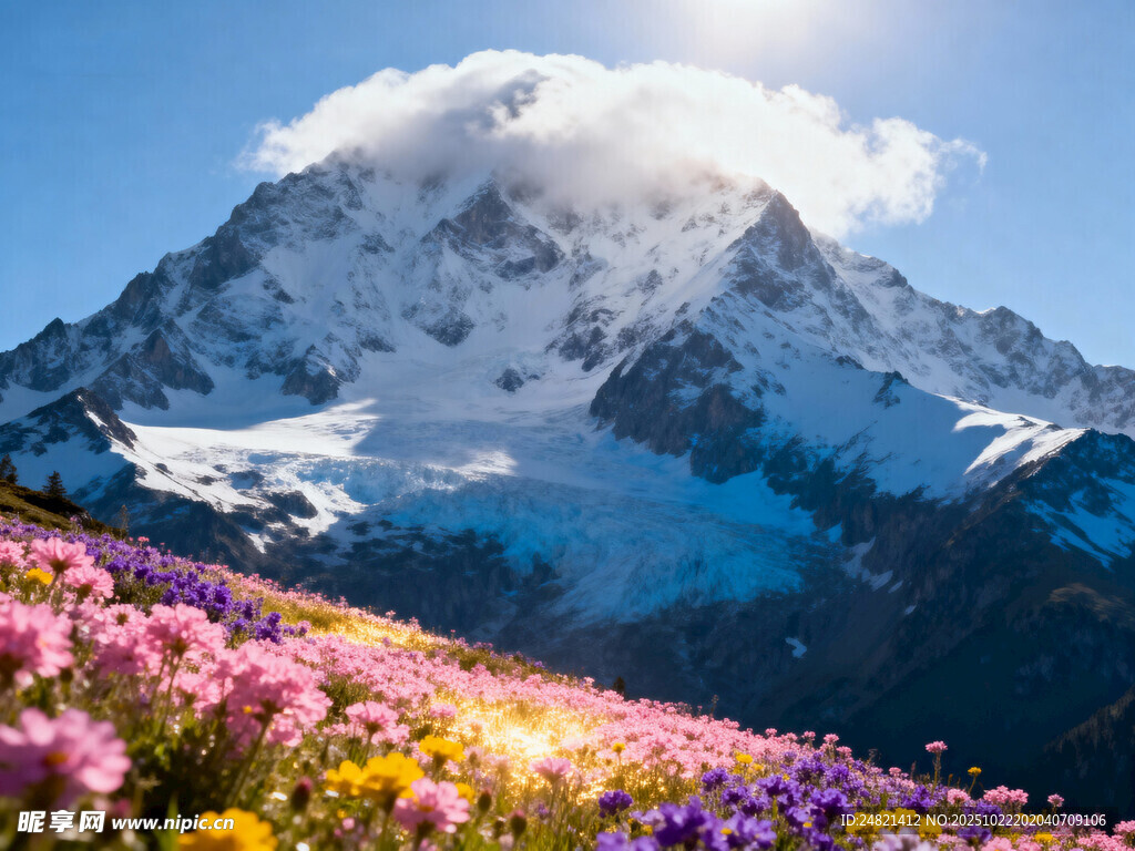 雪山下的绚烂花海