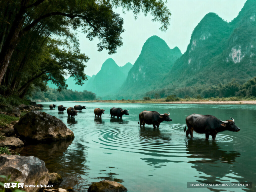 水牛群于山水间悠然涉水