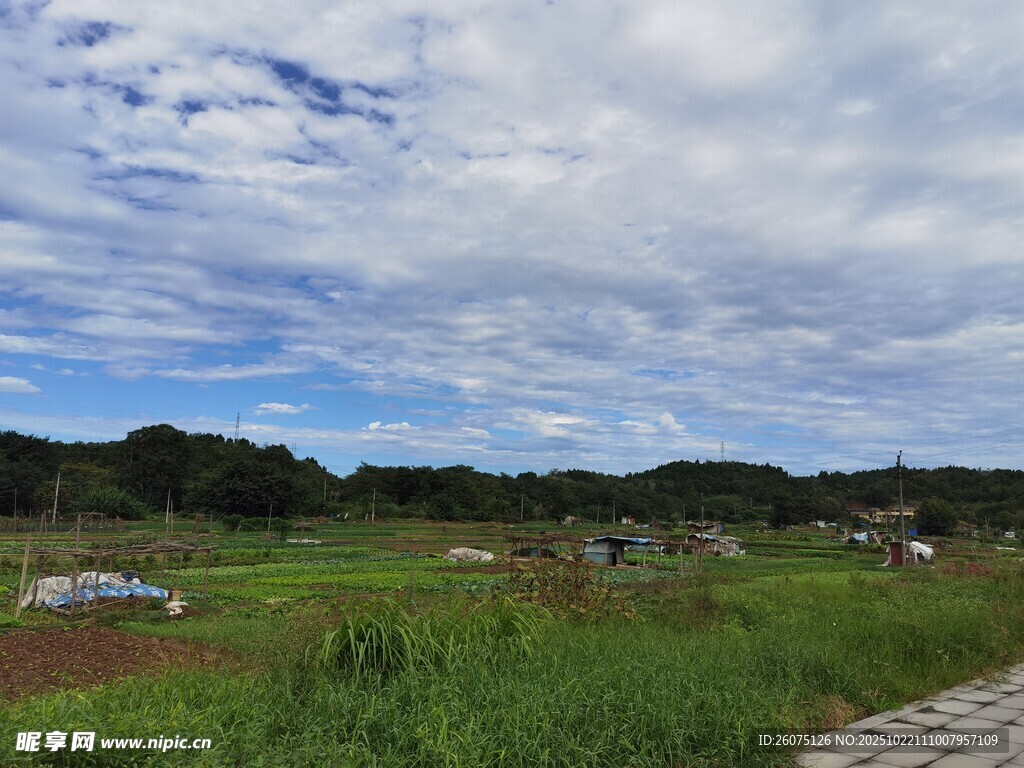 田园风光宁静乡村景致