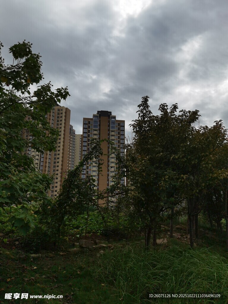 阴天中的城市与绿植景观