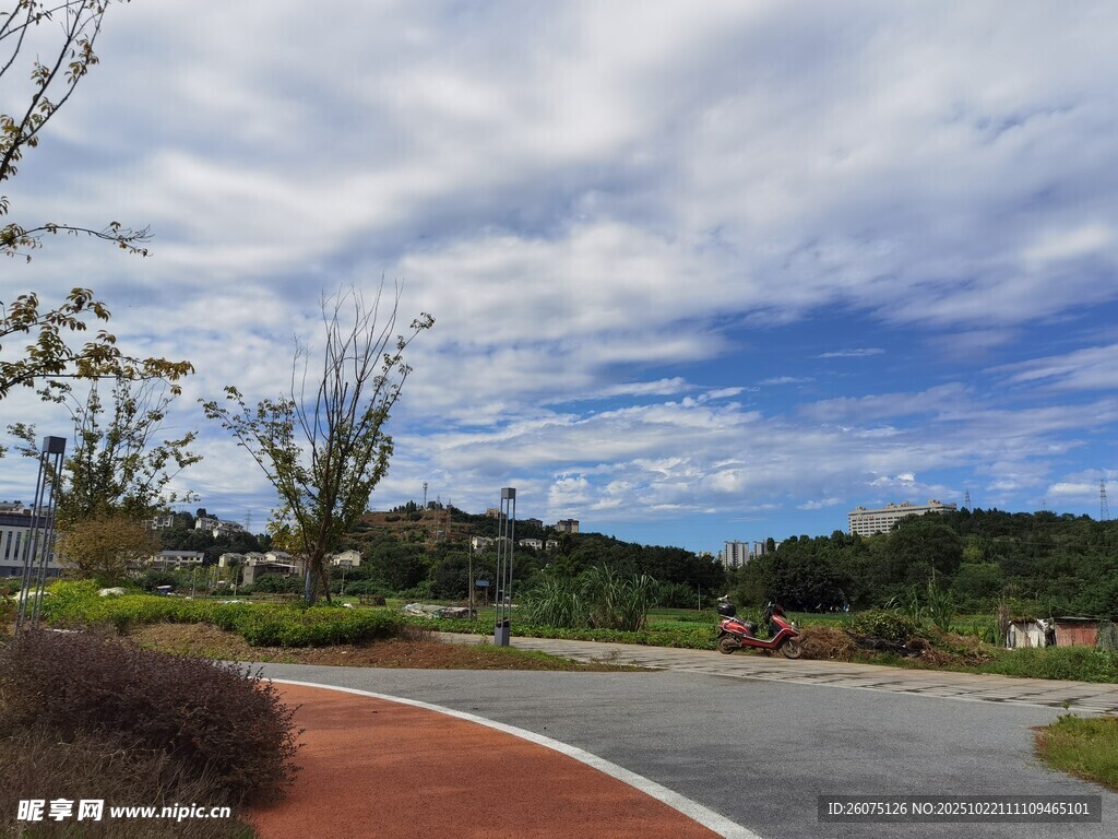 美丽户外道路景观