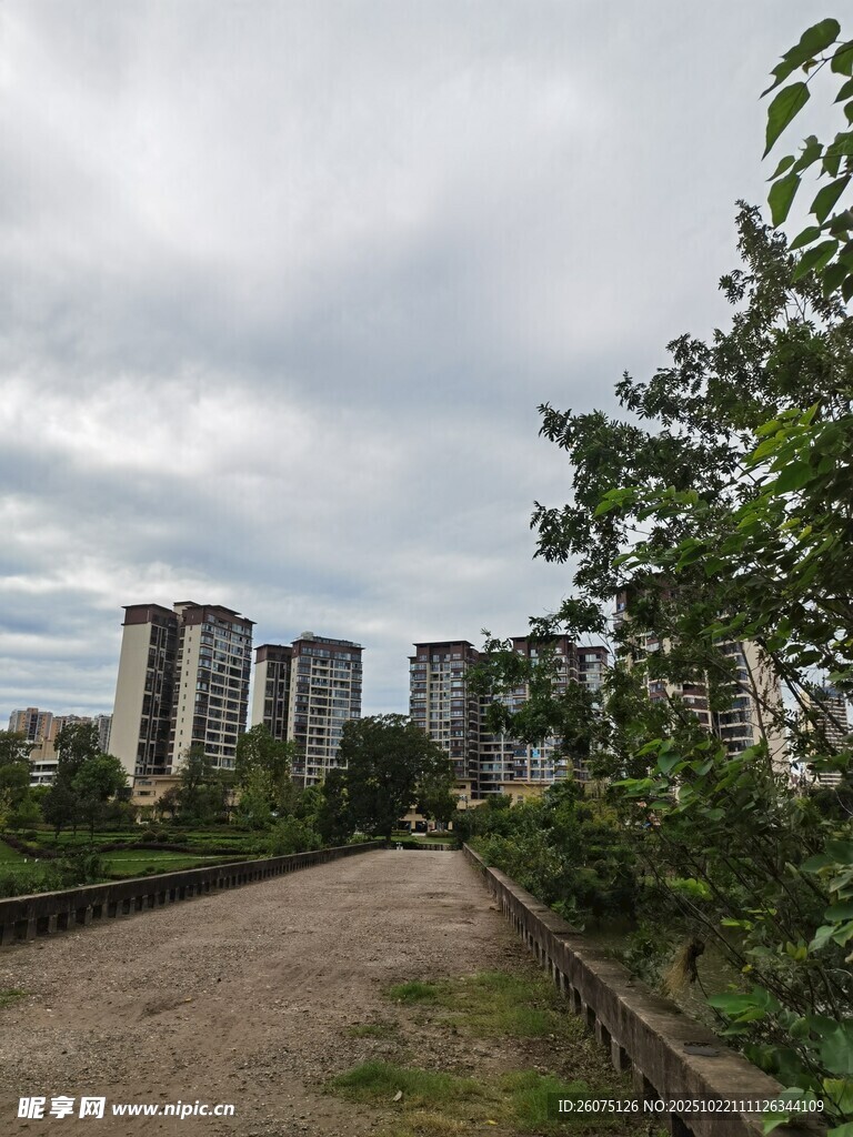 城郊小路旁的楼宇与绿树
