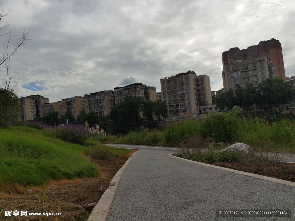 城郊小路旁的多层建筑群