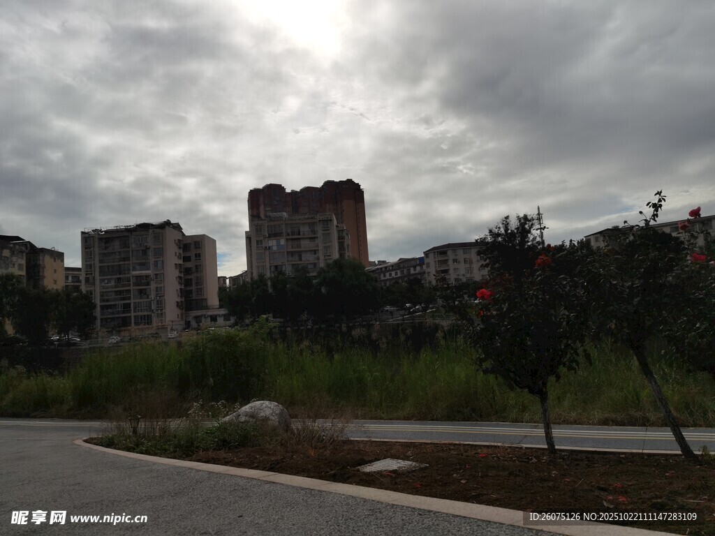 城市道路旁的高楼与绿植