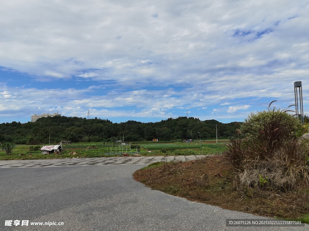 乡村公路旁的开阔风景