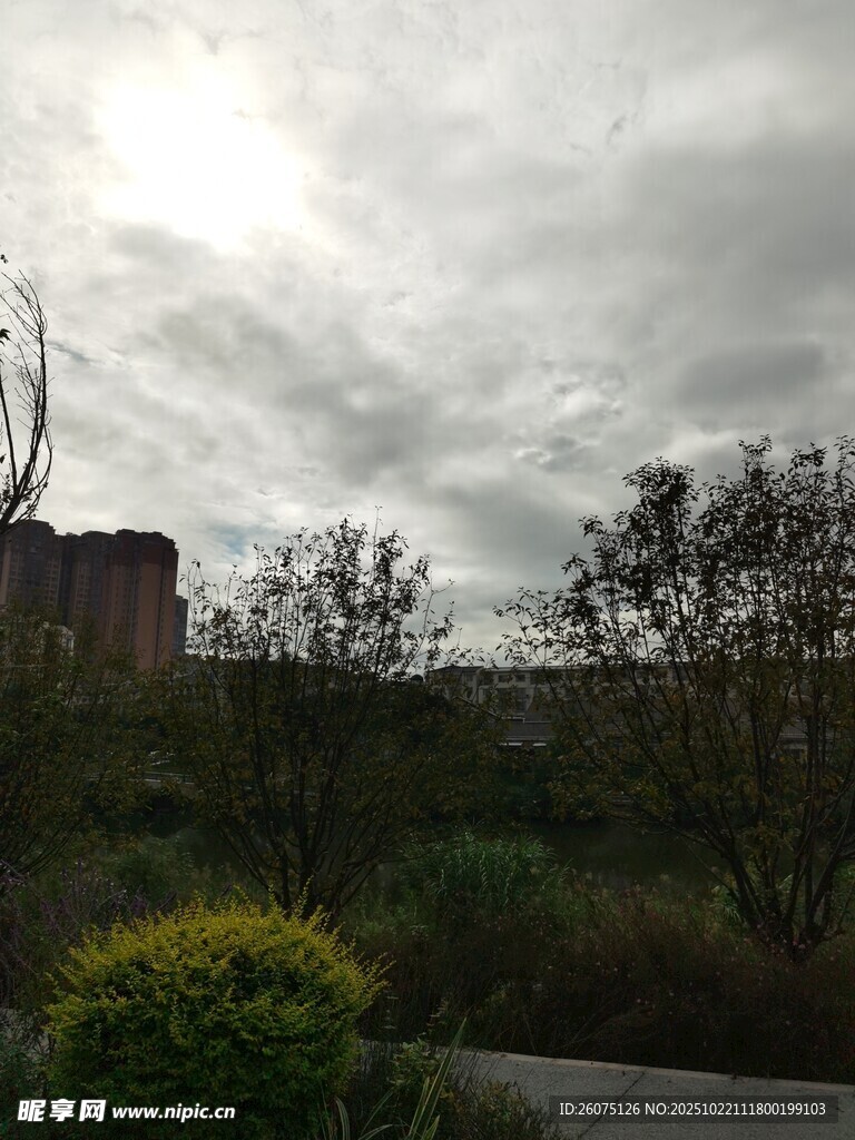 阴天户外绿植与建筑景观
