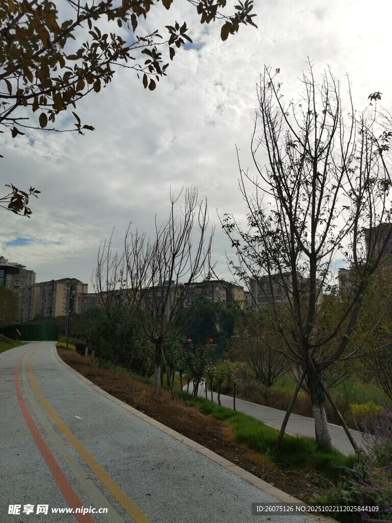蜿蜒小路旁的绿植与建筑