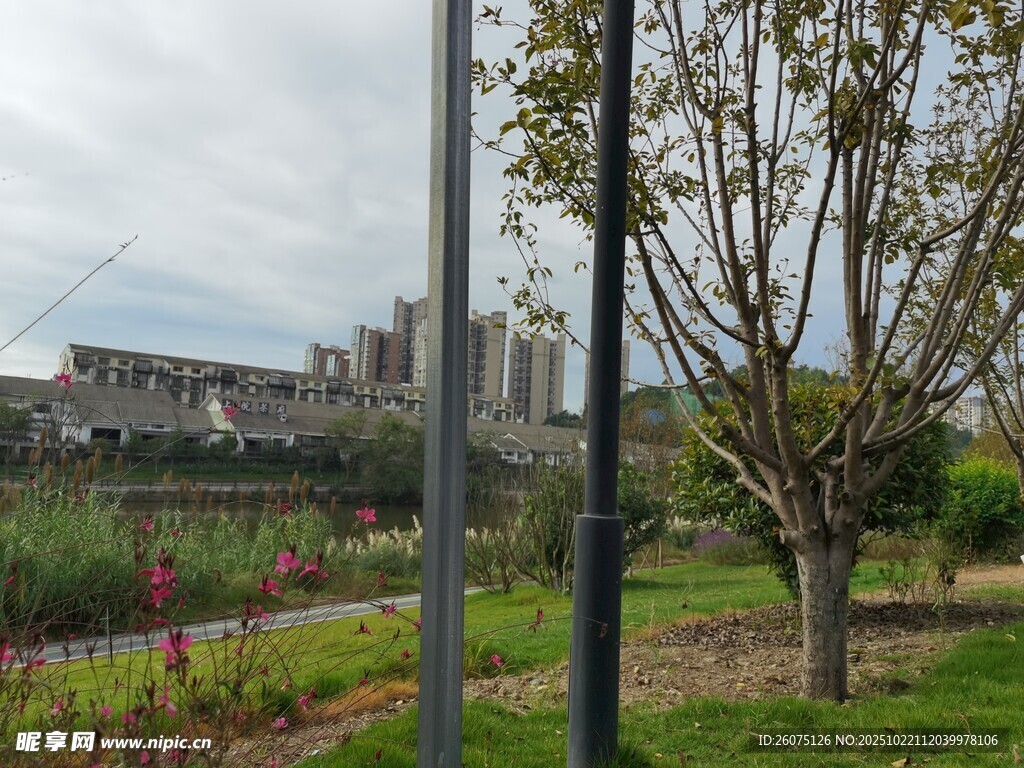 城市公园中的自然景致