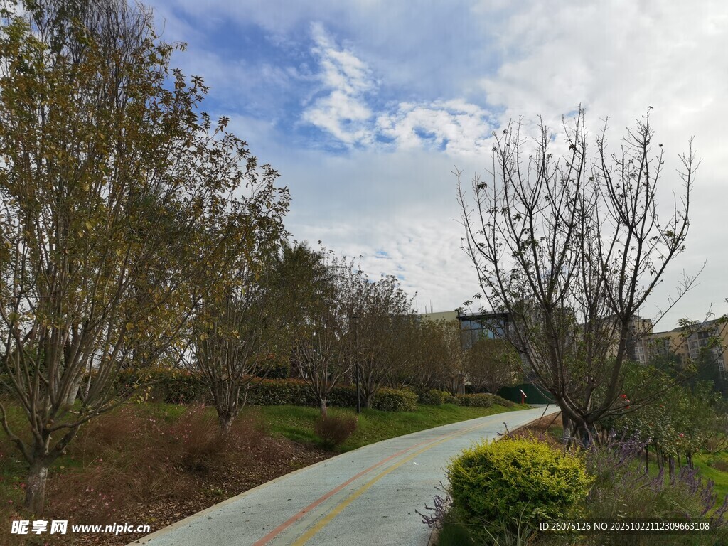 春日林间小径风景