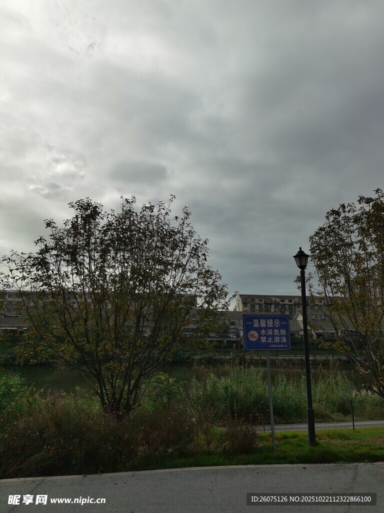 阴天户外道路旁的树木景象