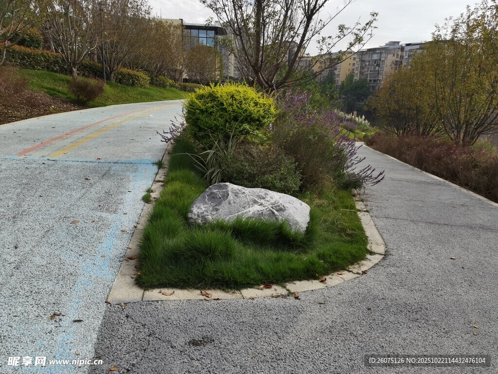 路边绿植与石头景观