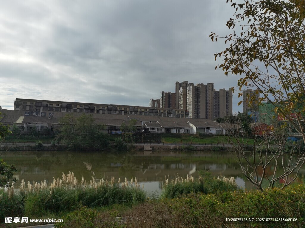 城市河畔建筑景观图