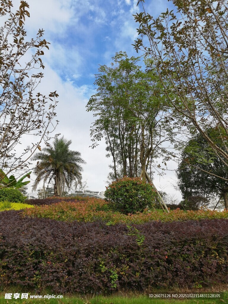 户外美丽绿植景观