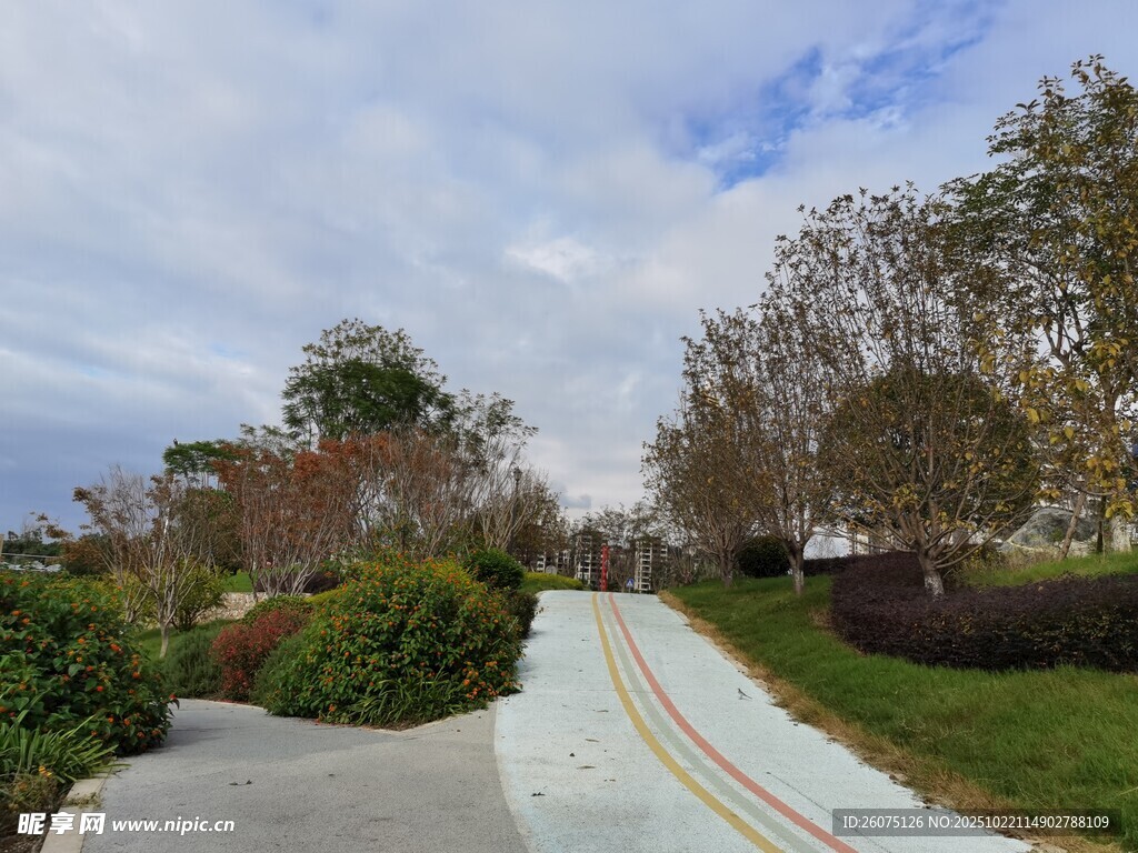 公园彩色步道风景