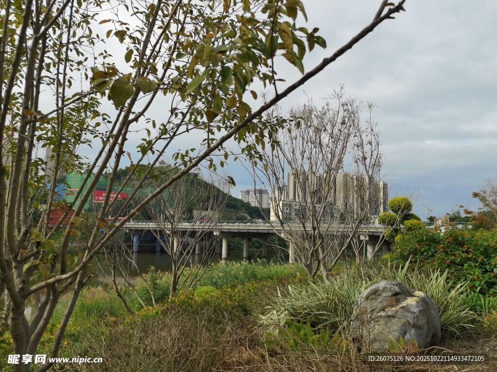 乡村景致中的绿植与建筑