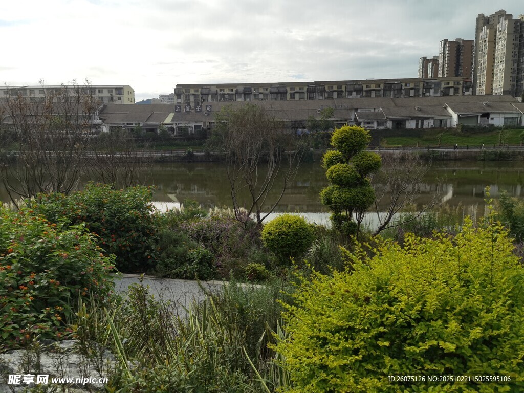 河畔绿植与远处建筑景观