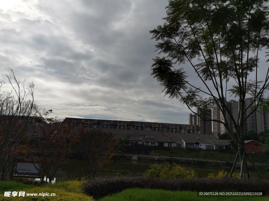 城市绿地旁的建筑景观